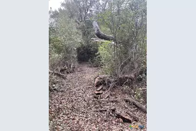 Tbd Donahoe Road, Bartlett, TX 76511 - Photo 19