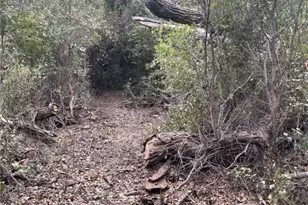 Tbd Donahoe Rd, Bartlett, TX 76511 - Photo 19