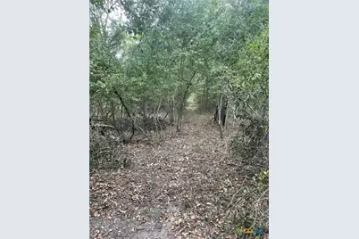 Tbd Donahoe Road, Bartlett, TX 76511 - Photo 21