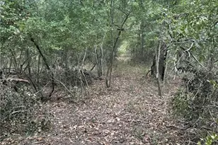 Tbd Donahoe Rd, Bartlett, TX 76511 - Photo 21