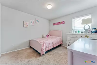 2946 Daisy Meadow, New Braunfels, TX 78130 - Photo 21