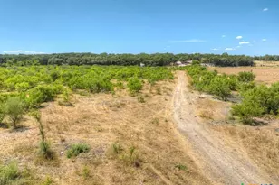 22031A Old Nacogdoches Rd, New Braunfels, TX 78132 - Photo 15