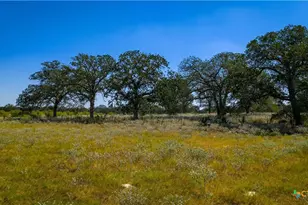 156 Firewheel Loop, Floresville, TX 78114 - Photo 39