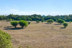 5555 S US Hwy 183, Lockhart, TX 78644 - Photo 21