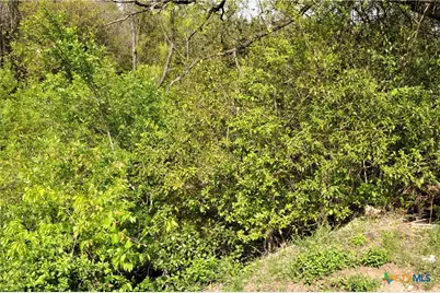 507 & 513 Bremser Avenue, Killeen, TX 76541 - Photo 9