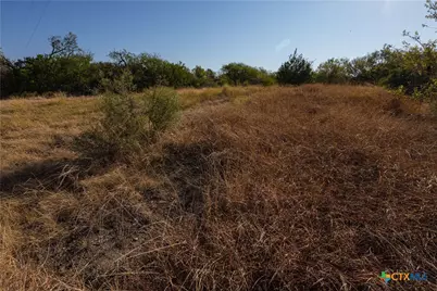 6868 Pfeil Road, Schertz, TX 78154 - Photo 7