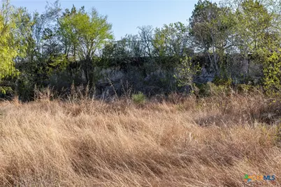 6868 Pfeil Road, Schertz, TX 78154 - Photo 9