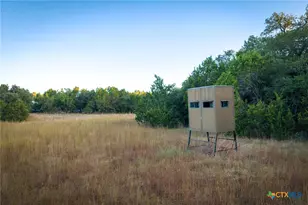 1100 Thompson Ranch Rd, Wimberley, TX 78676 - Photo 39