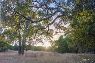 1100 Thompson Ranch Road, Wimberley, TX 78676 - Photo 5