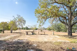 3779 Mule Creek Rd, Harwood, TX 78632 - Photo 37