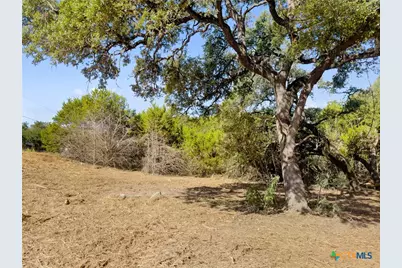 817 Rutherford, Fischer, TX 78623 - Photo 1