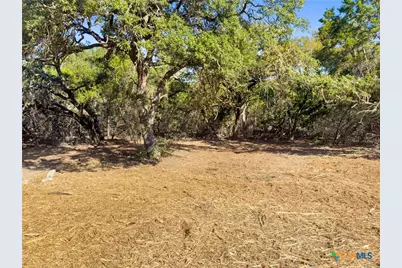 817 Rutherford, Fischer, TX 78623 - Photo 3