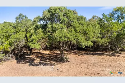 817 Rutherford, Fischer, TX 78623 - Photo 23