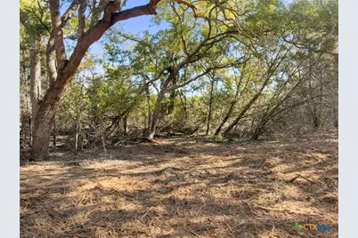 817 Rutherford, Fischer, TX 78623 - Photo 11