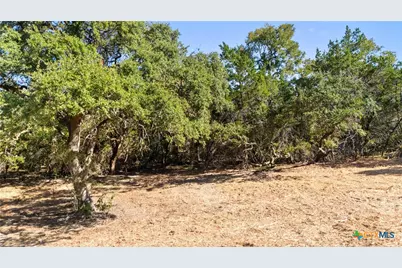 817 Rutherford, Fischer, TX 78623 - Photo 21