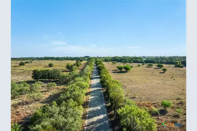217 Robin Ranch Road, Lockhart, TX 78644 - Photo 15
