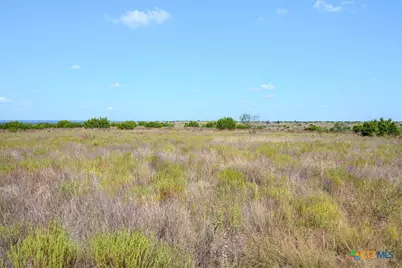 Tbd-61.63 Acres County Road 414, Jonesboro, TX 76538 - Photo 19