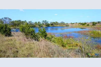 Tbd-61.63 Acres County Road 414, Jonesboro, TX 76538 - Photo 17