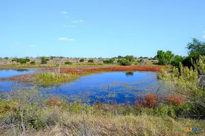 Tbd-61.63 Acres County Road 414, Jonesboro, TX 76538 - Photo 3