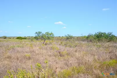 Tbd-61.63 Acres County Road 414, Jonesboro, TX 76538 - Photo 33