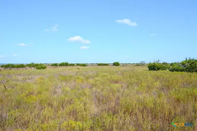 Tbd-61.63 Acres County Road 414, Jonesboro, TX 76538 - Photo 35