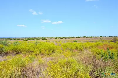 Tbd-61.63 Acres County Road 414, Jonesboro, TX 76538 - Photo 9