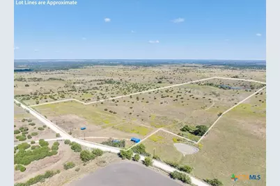 Tbd-61.63 Acres County Road 414, Jonesboro, TX 76538 - Photo 11