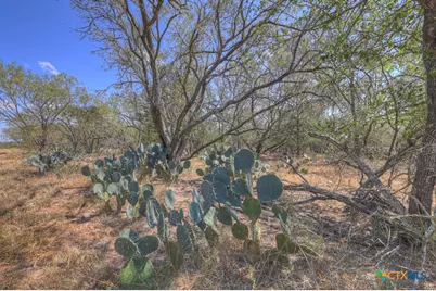 445 Single Oak Road, Seguin, TX 78155 - Photo 11