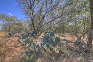 445 Single Oak Rd, Seguin, TX 78155 - Photo 11