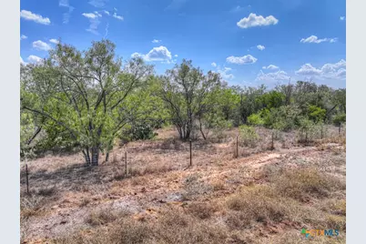 445 Single Oak Road, Seguin, TX 78155 - Photo 29