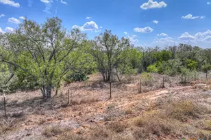 445 Single Oak Rd, Seguin, TX 78155 - Photo 29