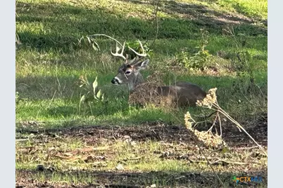 1 S Sherwood Drive, Belton, TX 76513 - Photo 3