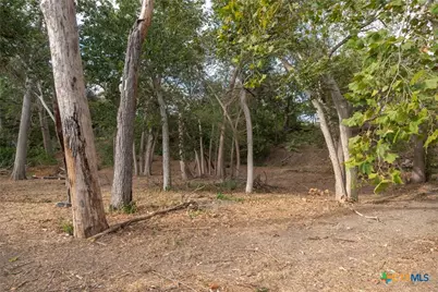 114 Navajo Trail, Seguin, TX 78155 - Photo 7