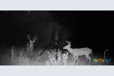 55 Lassman Road, Goliad, TX 77963 - Photo 13