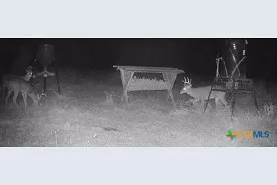 55 Lassman Road, Goliad, TX 77963 - Photo 15