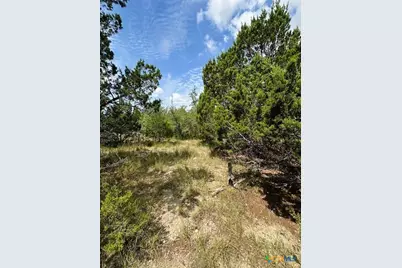Lot 1 Soaring Eagle, Fischer, TX 78623 - Photo 7