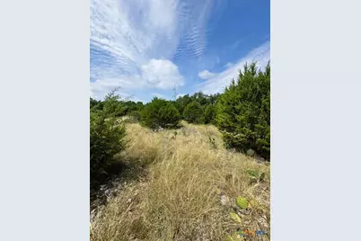 Tbd Lot 3 Royal Eagle Dr., Fischer, TX 78623 - Photo 5