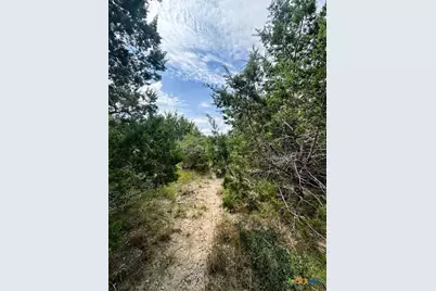 Tbd Lot 3 Royal Eagle Dr., Fischer, TX 78623 - Photo 3