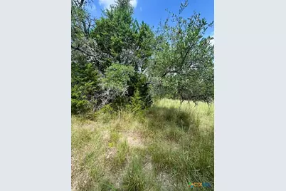 Tbd Lot 3 Royal Eagle Dr., Fischer, TX 78623 - Photo 1