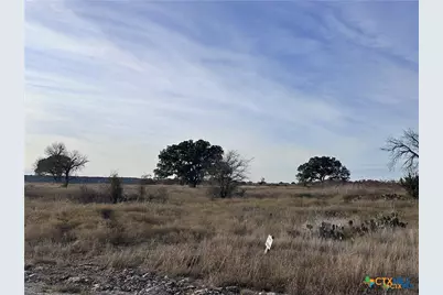 245 Grand Canyon Drive, Oglesby, TX 76561 - Photo 5