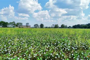 0000 North Baker Rd, Guy, TX 77444 - Photo 5