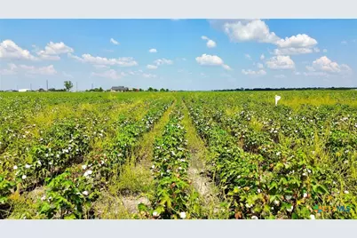 0000 North Baker Road, Guy, TX 77444 - Photo 11