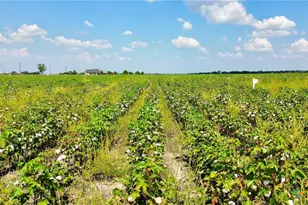 0000 North Baker Rd, Guy, TX 77444 - Photo 11