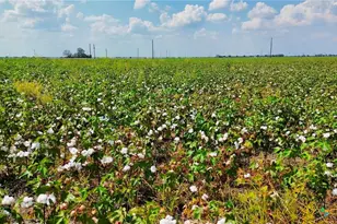 0000 North Baker Rd, Guy, TX 77444 - Photo 15