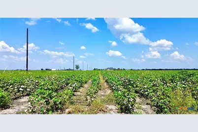 0000 North Baker Road, Guy, TX 77444 - Photo 9