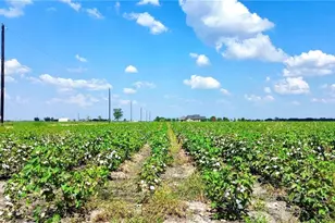 0000 North Baker Rd, Guy, TX 77444 - Photo 9