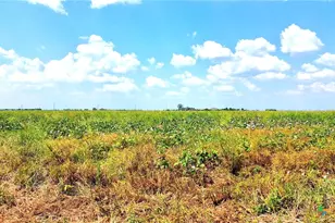 0000 North Baker Rd, Guy, TX 77444 - Photo 17