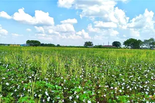 0000 North Baker Rd, Guy, TX 77444 - Photo 3