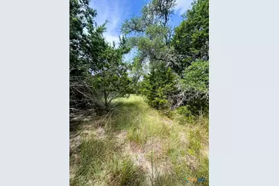 Tbd Lot 4 Royal Eagle Dr, Fischer, TX 78623 - Photo 11