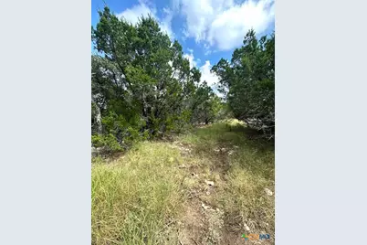 Tbd Lot 4 Royal Eagle Dr, Fischer, TX 78623 - Photo 3